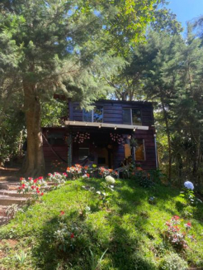 Cabaña privada en Los Naranjos
